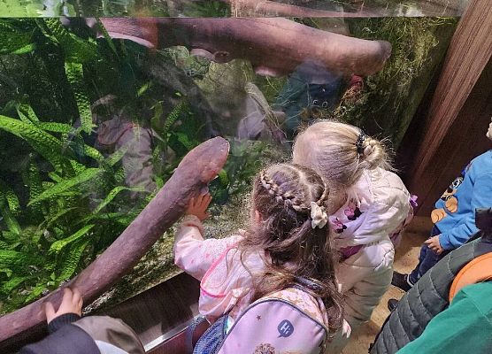 Grafika 9: Wycieczka do Gdyni