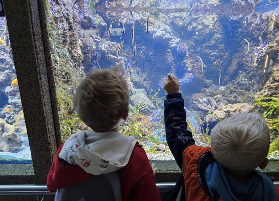 Grafika 15: Wycieczka do Gdyni