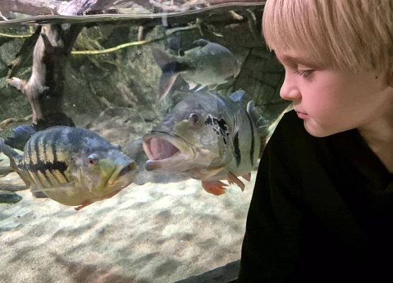 Grafika 14: Wycieczka do Gdyni