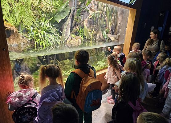 Grafika 17: Wycieczka do Gdyni