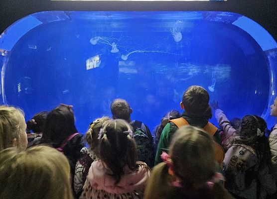 Grafika 19: Wycieczka do Gdyni