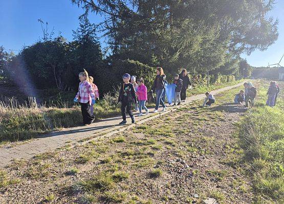 Grafika 4: Sprzątane Świata