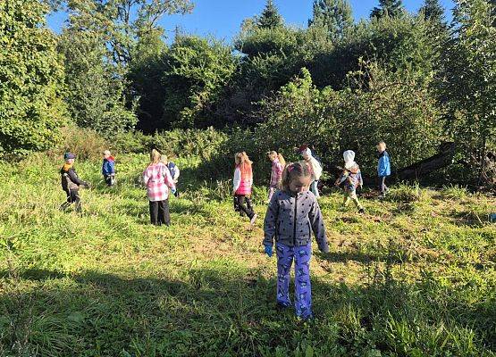 Grafika 9: Sprzątane Świata