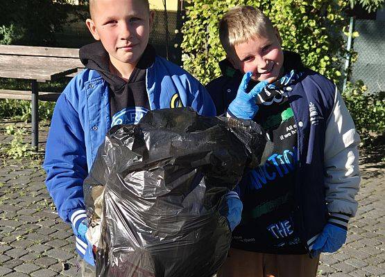 Grafika 15: Sprzątane Świata