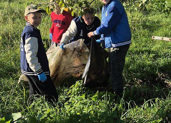 Grafika 7: Sprzątane Świata