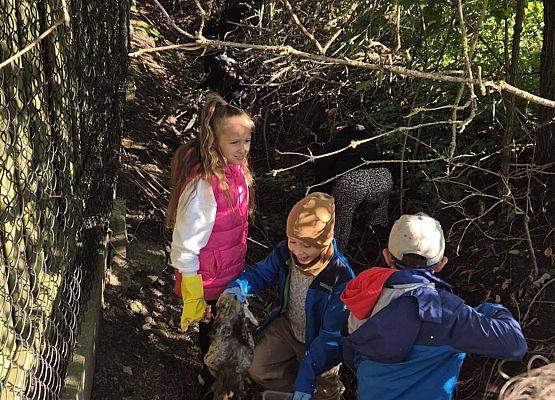 Grafika 11: Sprzątane Świata