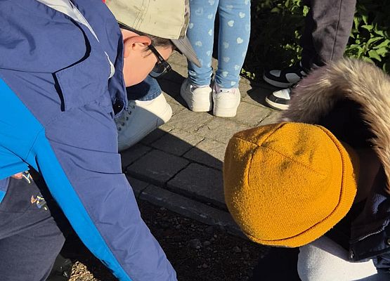 Grafika 3: Sprzątane Świata