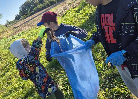 Grafika 8: Sprzątane Świata