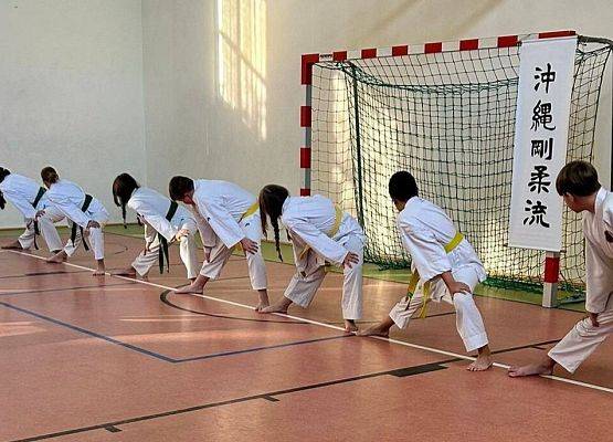 Grafika 5: Pokaz karate