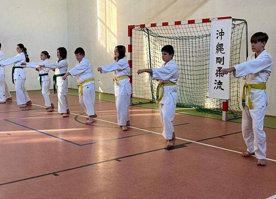 Grafika 4: Pokaz karate