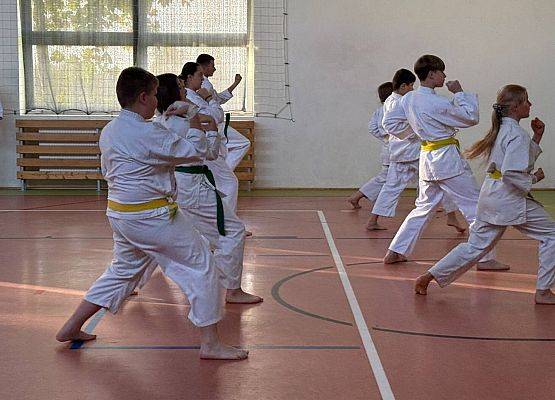 Grafika 7: Pokaz karate