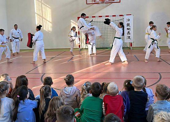 Grafika 2: Pokaz karate