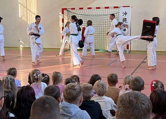 Grafika 6: Pokaz karate