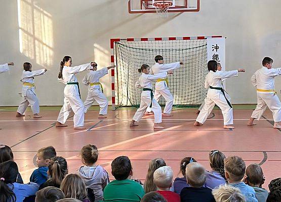 Grafika 3: Pokaz karate