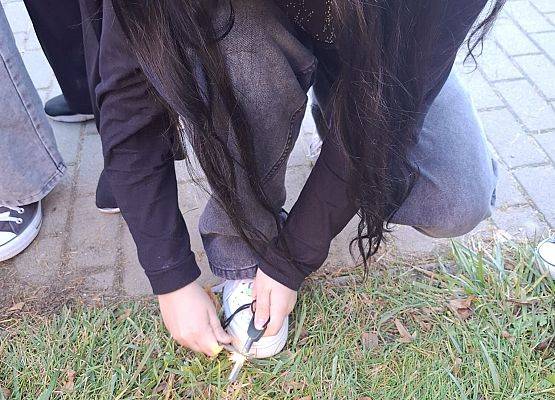 Grafika 2: Edukacja z wojskiem