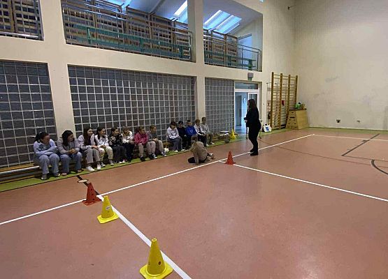 Grafika 6: Profilaktyczne zajęcia z alkogoglami w naszej szkole