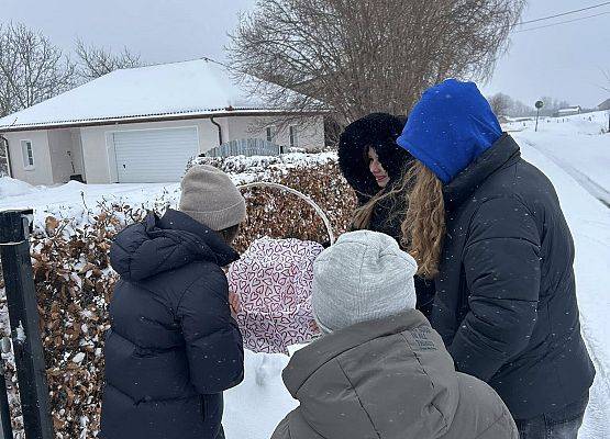 Grafika 5: Walentynki w naszej szkole