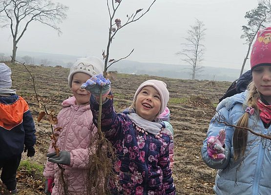 Grafika 7: Klasy I i II oraz przedszkolaki wybrały się na sadzenie lasu