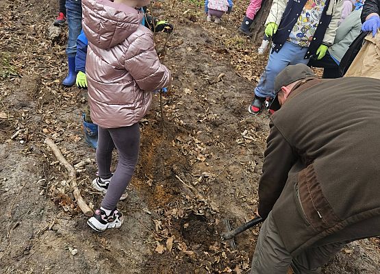 Grafika 10: Klasy I i II oraz przedszkolaki wybrały się na sadzenie lasu