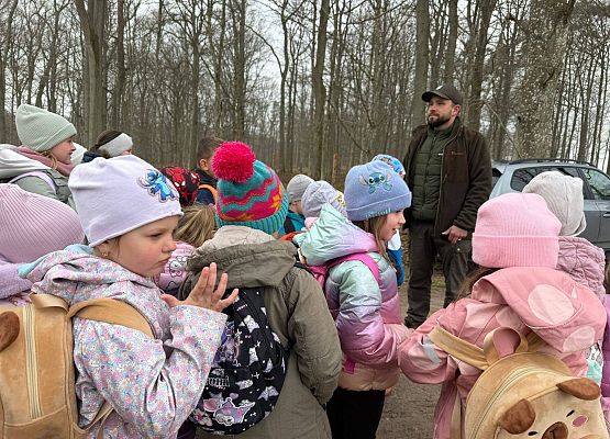 Grafika 1: Klasy I i II oraz przedszkolaki wybrały się na sadzenie lasu