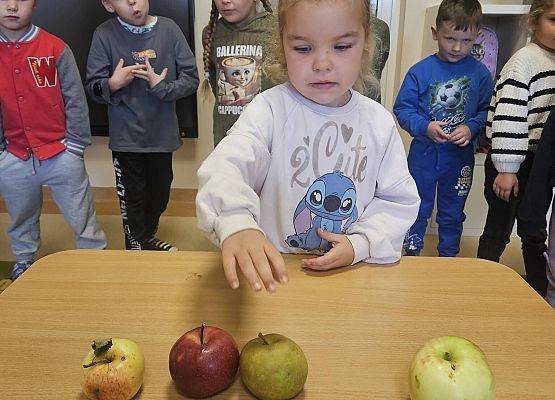 Grafika 3: Dzień Jabłka