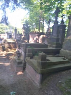 Grafika #47: Wycieczka do Warszawy klas VIII gminy Wicko