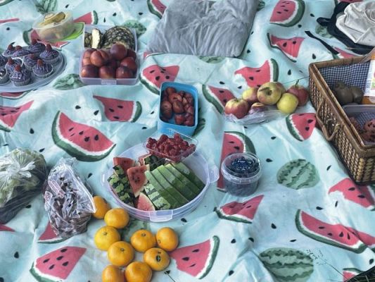 Grafika #16: Talerz Zdrowego Żywienia w klasie 5