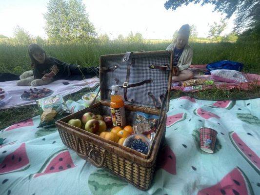 Grafika #17: Talerz Zdrowego Żywienia w klasie 5