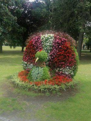 Grafika #83: Śladami Wielkiego Astronoma - wycieczka Toruń - Golub-Dobrzyń - Ciechocinek