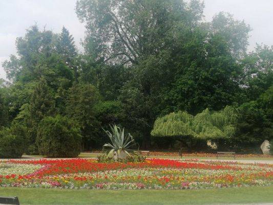 Grafika #84: Śladami Wielkiego Astronoma - wycieczka Toruń - Golub-Dobrzyń - Ciechocinek