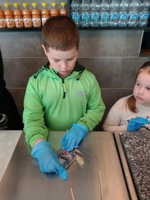 Grafika #21: Manufaktura Słodyczy w Łebie cz. 2