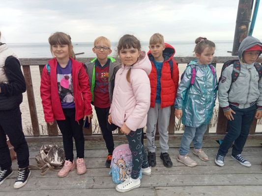 Grafika #4: Manufaktura Słodyczy w Łebie