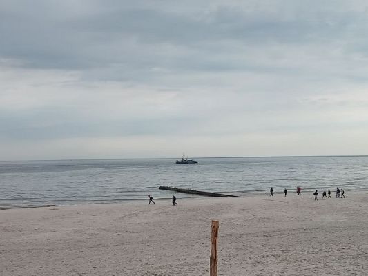 Grafika #6: Manufaktura Słodyczy w Łebie