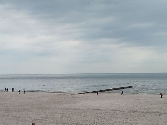 Grafika #7: Manufaktura Słodyczy w Łebie