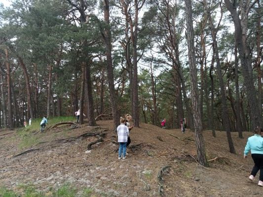 Grafika #8: Manufaktura Słodyczy w Łebie