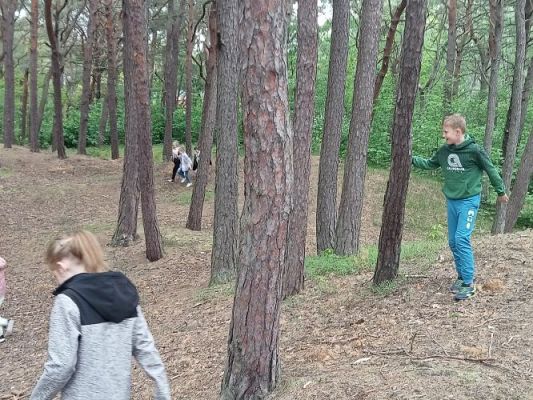 Grafika #12: Manufaktura Słodyczy w Łebie