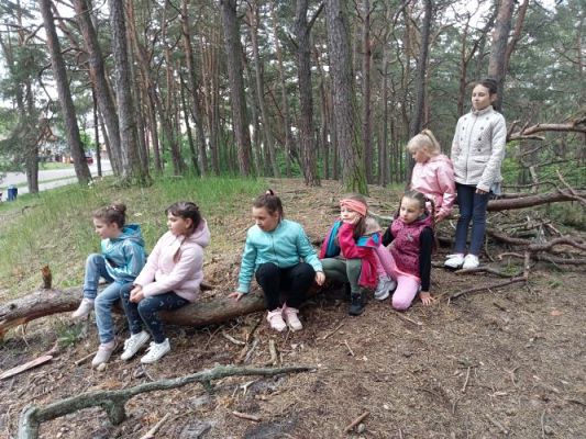 Grafika #16: Manufaktura Słodyczy w Łebie