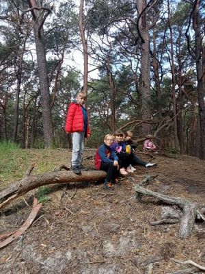 Grafika #19: Manufaktura Słodyczy w Łebie