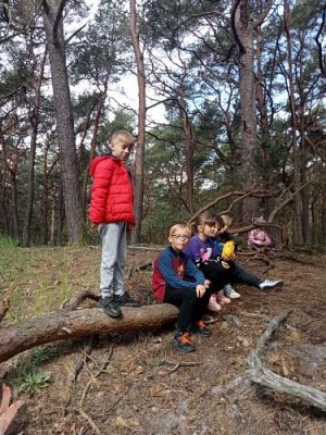 Grafika #20: Manufaktura Słodyczy w Łebie