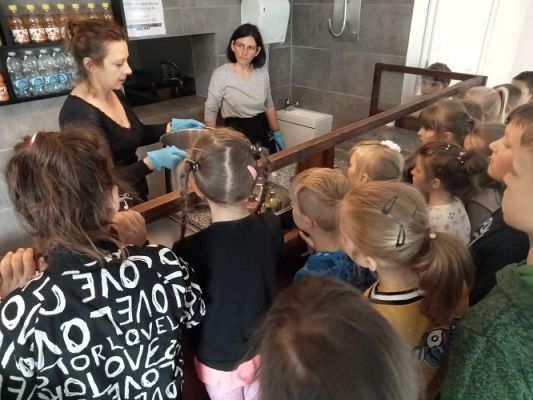 Grafika #23: Manufaktura Słodyczy w Łebie