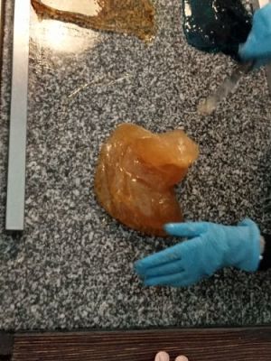 Grafika #28: Manufaktura Słodyczy w Łebie