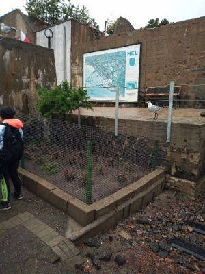 Grafika #32: Wycieczka do Muzeum Obrońców Wybrzeża