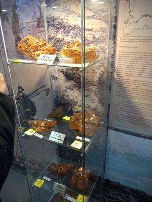 Grafika #38: Wycieczka do Muzeum Obrońców Wybrzeża