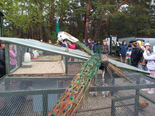 Grafika #41: Wycieczka do Muzeum Obrońców Wybrzeża