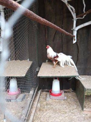 Grafika #44: Wycieczka do Muzeum Obrońców Wybrzeża