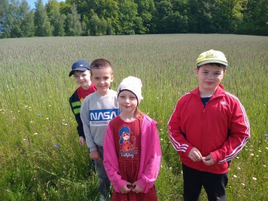 Grafika #34: Dzień Dziecka w kl. I