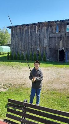 Grafika #5: 2023-2024