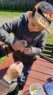 Grafika #7: 2023-2024