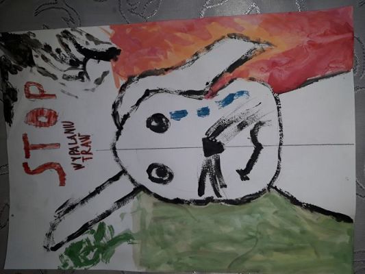 Grafika #11: 2023-2024