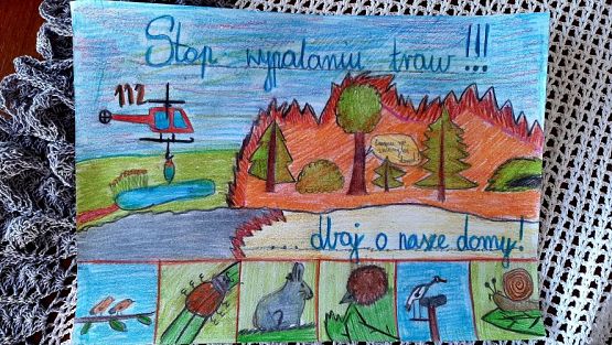 Grafika #33: 2023-2024